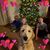 Michele Scott's profile image