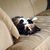Rachelle Roeckeman's profile image