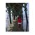 Kaylee Rose's profile image
