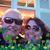 Tammy Rau's profile image