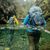 Oskeny Francisco Rodriguez's profile image