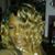 Jackie Rhoden's profile image