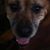 Susan Cece MacVicar's profile image