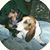 Tricia Parker's profile image