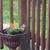 Cindy Ayers- Quine's profile image