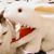 Carrie Shovestull's profile image