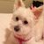 Laura Vallejo's profile image
