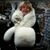Shannon Kelly Smith's profile image