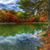 Carol Sheen's profile image