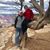 Lindsay Bellon's profile image
