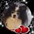 Mia Costello's profile image