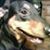 Leah Leshick's profile image