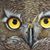 Sharon Wright's profile image