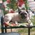 Sandra Greene's profile image