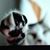 Melissa Rohde's profile image
