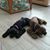 Barbara Hughes's profile image