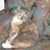 Denise Diffey's profile image