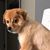 Amy MacGilvray Fortin's profile image