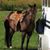 Jody Love's profile image