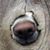 Raschele Foliano's profile image