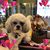 Marta Lessar's profile image