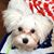 Patricia Worsham Young's profile image