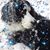 Ann L. Koski-Smith's profile image