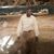 Mohamed Mohamed's profile image