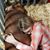 Gina Woodruff-Robinson's profile image
