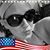 Shelley Brawner's profile image