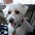 Brian Brutosky's profile image