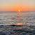Mark Distler's profile image