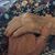 Debbie Colvin's profile image