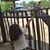 Mariela Mayorga's profile image