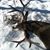 Tyson L. Jones's profile image