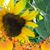 DonnaLee Place Dixon's profile image