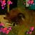 Mara Ann's profile image