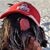 Bill Aichholz's profile image