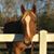 Kathy Cleaver's profile image