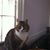 Shelley Fitzgerald's profile image