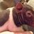 Dana Lynam's profile image