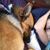 Nicole Meraz-Sweeney's profile image