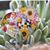 Maria Antonieta Gomez's profile image