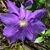Debbie N David Holmes's profile image