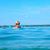 Marie Gagliardi's profile image