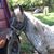 KathyLouise Huber-Gregory's profile image