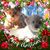 Patricia Thomas's profile image