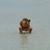 Tony Lombardo's profile image