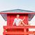Dagmar Sauer's profile image