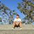 Leonardo Rodriguez's profile image